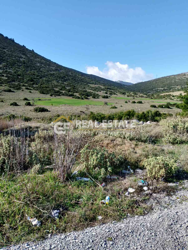 property-img