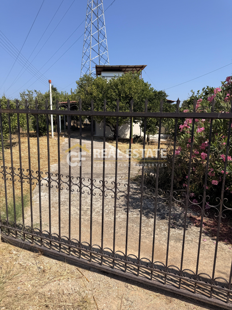 property-img
